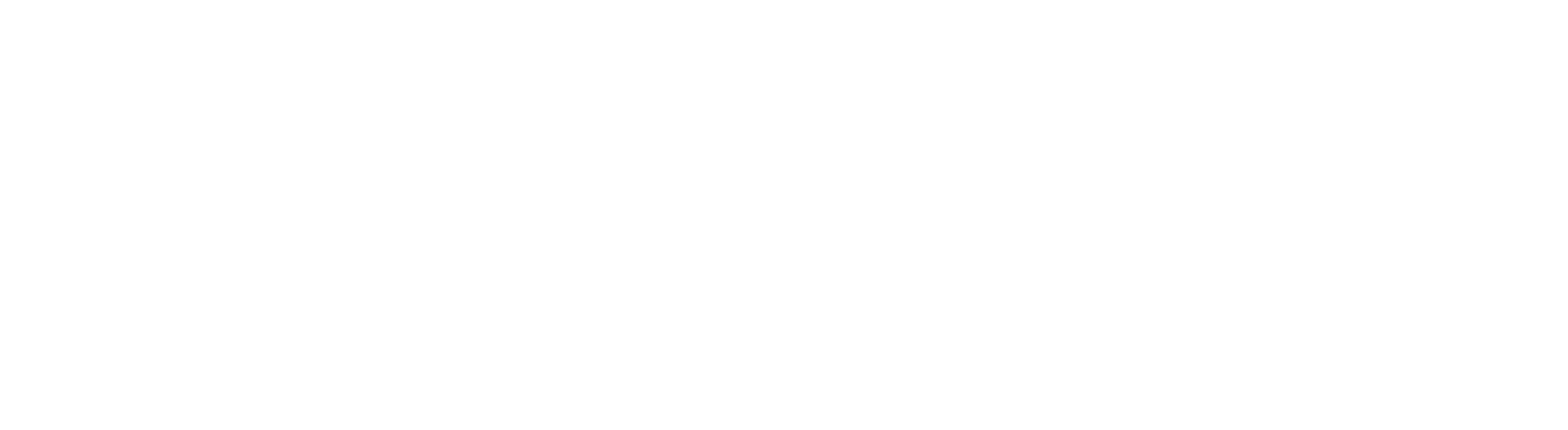 Praxif.ai Logo